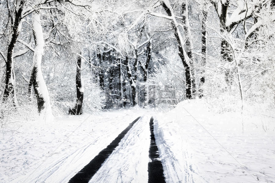 雾凇雪景图片素材免费下载