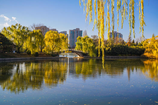 北京紫竹院公园深秋河边景色图片素材免费下载