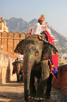 印度斋普尔琥珀堡骑大象图片素材免费下载