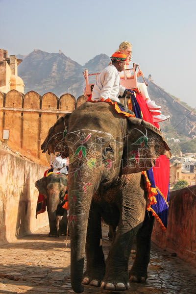 印度斋普尔琥珀堡骑大象图片素材免费下载