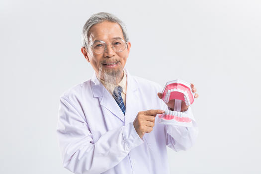 中医手拿牙齿模型图片素材免费下载