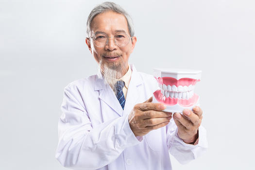 牙医手拿牙齿模型图片素材免费下载