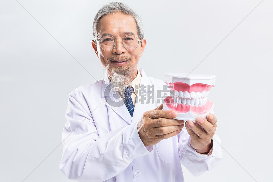 牙医手拿牙齿模型图片素材免费下载