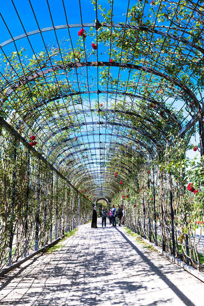 维也纳美泉宫花园图片素材免费下载