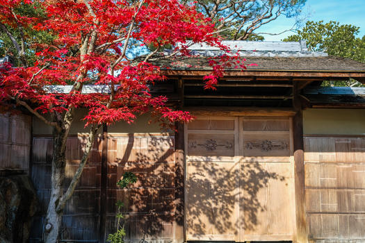 日本京都建筑红枫图片素材免费下载