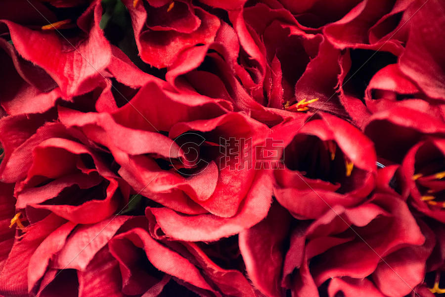 火红的玫瑰花瓣图片素材免费下载