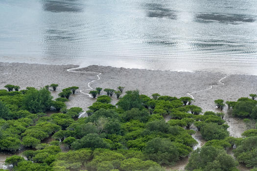澳门百老汇酒店对面海边自然生态环境图片素材免费下载