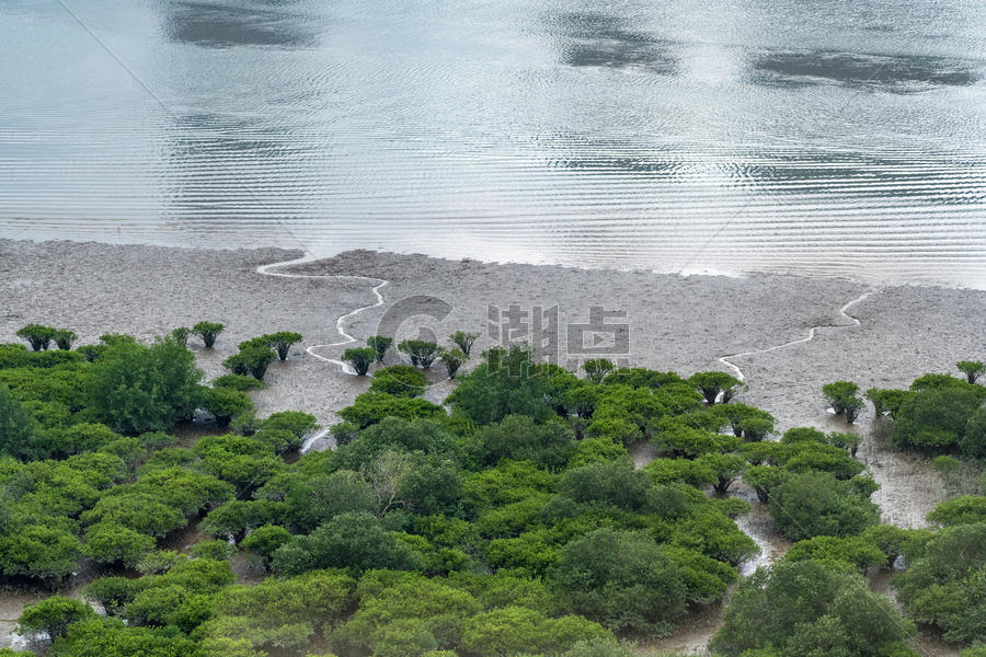澳门百老汇酒店对面海边自然生态环境图片素材免费下载