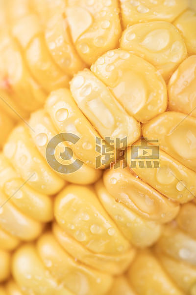 玉米图片素材免费下载