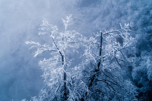 黄山雾凇雪景图片素材免费下载