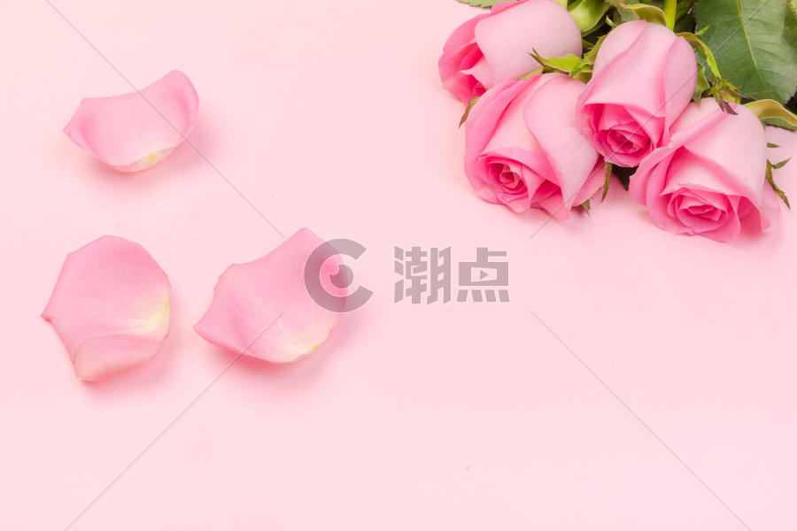 520七夕情人节粉色玫瑰图片素材免费下载