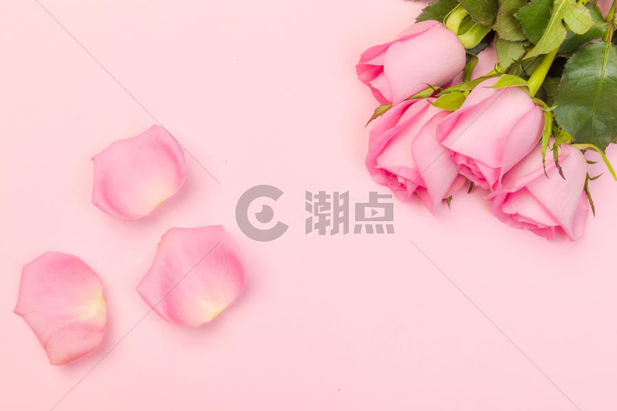 情人节粉色背景素材图片素材免费下载