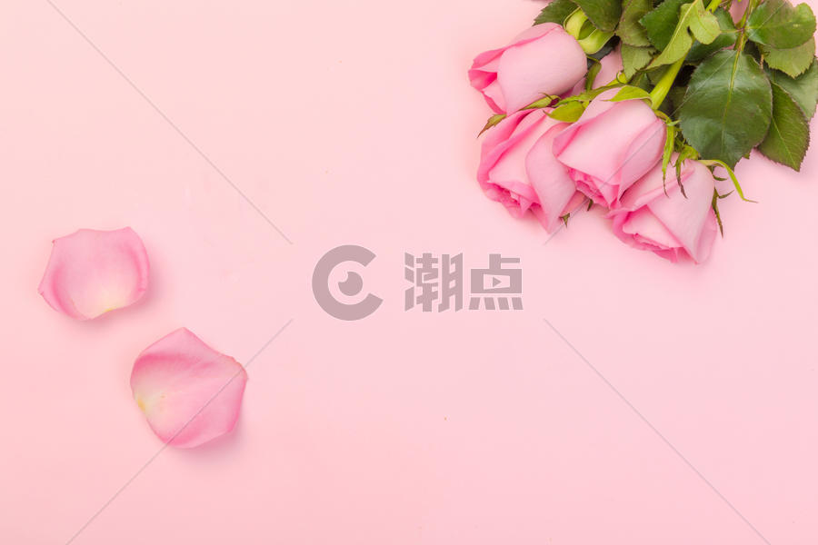 七夕情人节粉色玫瑰图片素材免费下载