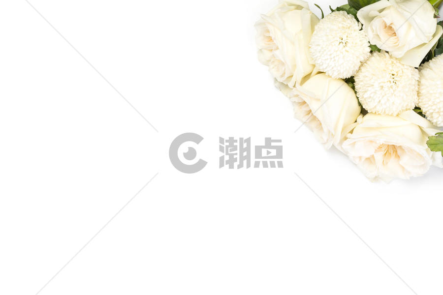 白玫瑰背景图图片素材免费下载