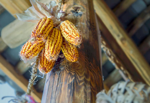 农家房梁上的老玉米图片素材免费下载