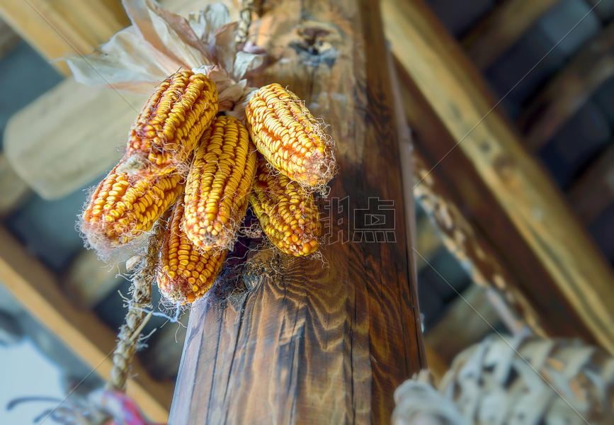 农家房梁上的老玉米图片素材免费下载