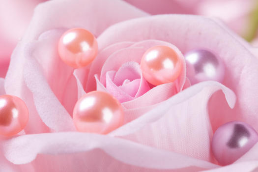 珍珠玫瑰花图片素材免费下载