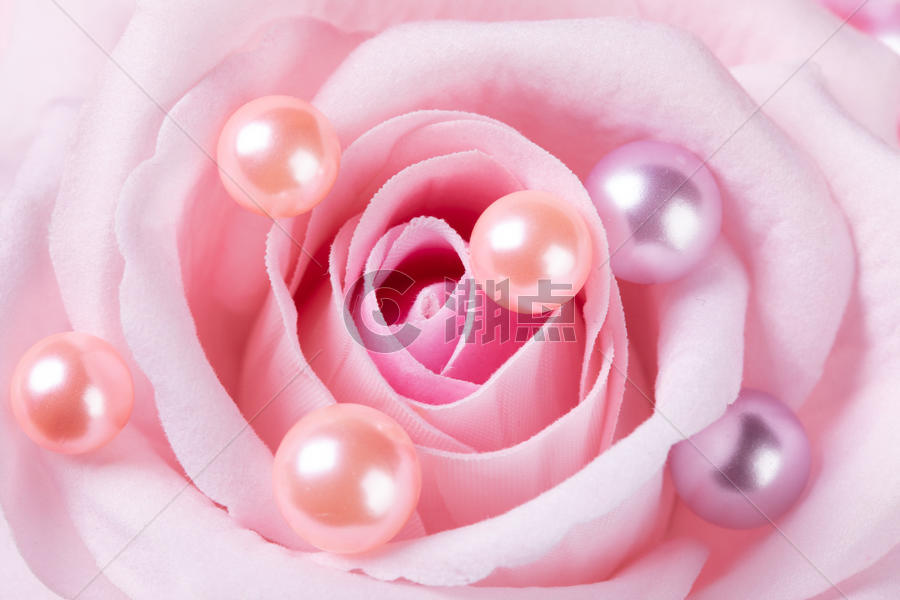 珍珠玫瑰花图片素材免费下载