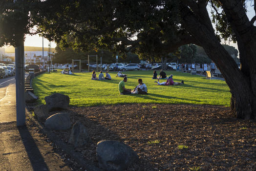 新西兰奥克兰坐在草坪上休息的人们图片素材免费下载