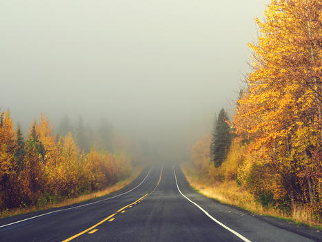 阿拉斯加斯特灵公路雾气秋景图片素材免费下载