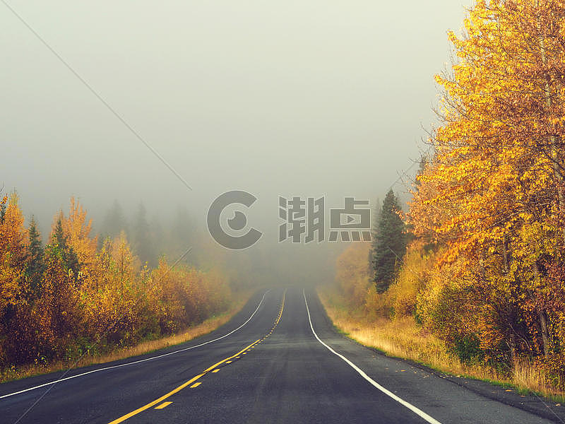 阿拉斯加斯特灵公路雾气秋景图片素材免费下载