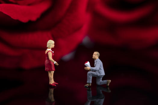 情人节求婚创意微距图片素材免费下载