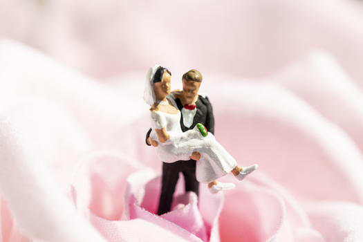 情人节结婚拥抱创意微距图片素材免费下载