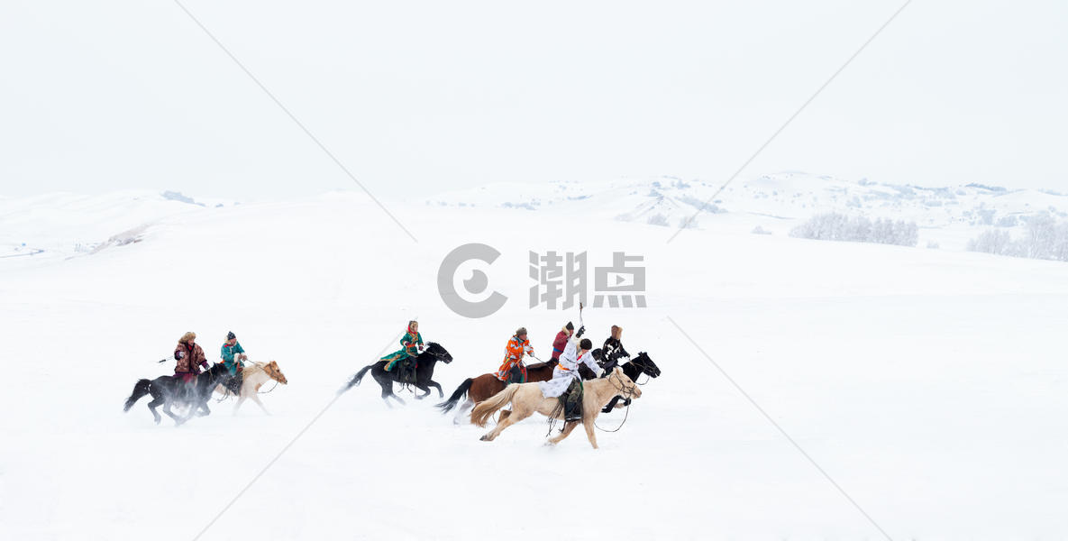 雪地上奔驰的骏马图图片素材免费下载