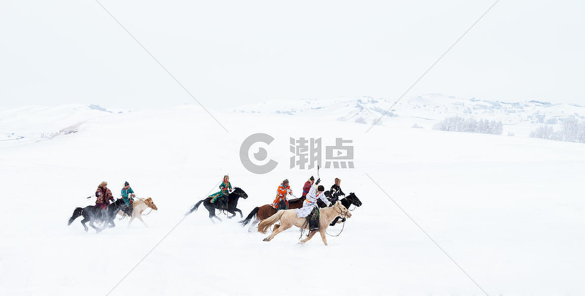 雪地上奔驰的骏马图图片素材免费下载