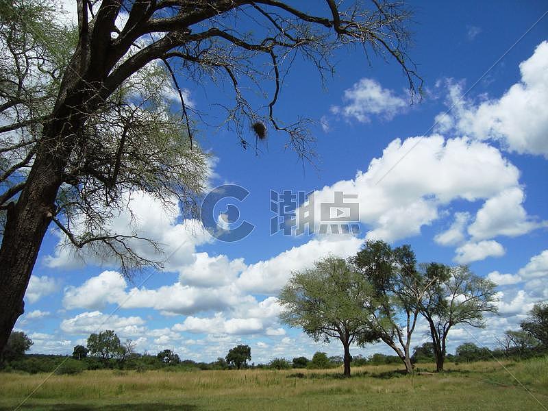 非洲大自然风景图片素材免费下载