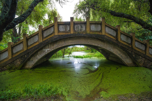 大理洱海公园拱桥图片素材免费下载