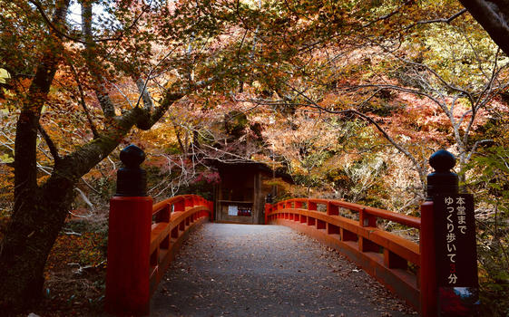 京都红叶红色拱桥图片素材免费下载