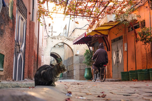 摩洛哥马拉喀什街景图片素材免费下载