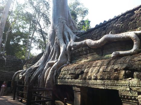 柬埔寨吴哥窟塔布隆寺图片素材免费下载