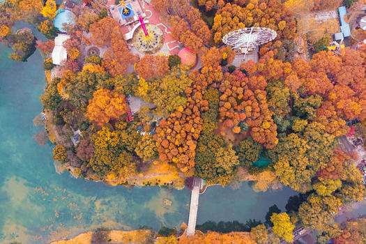 俯瞰武汉城市公园的秋天图片素材免费下载