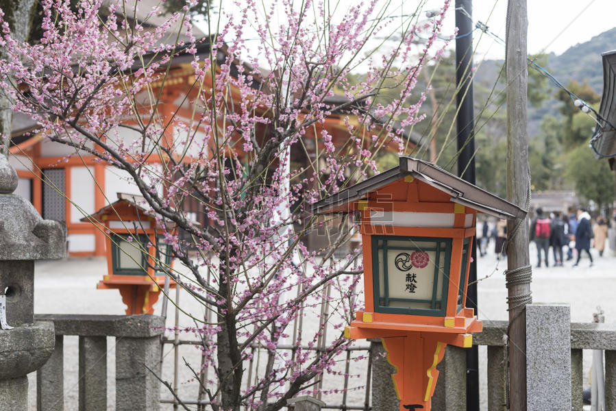 日本京都八坂神社图片素材免费下载