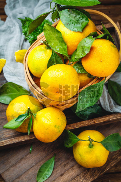 柑橘采摘图片素材免费下载