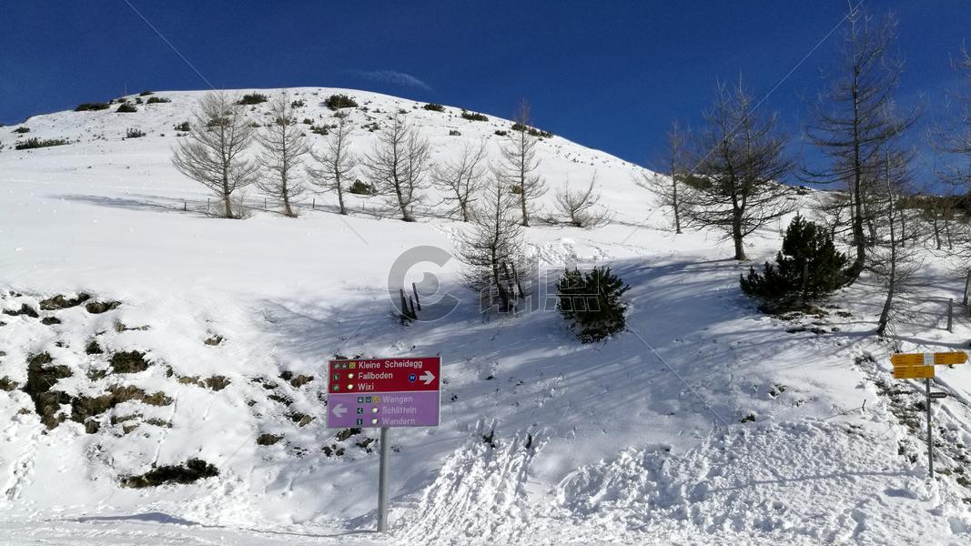 瑞士阿尔卑斯山滑的季节图片素材免费下载