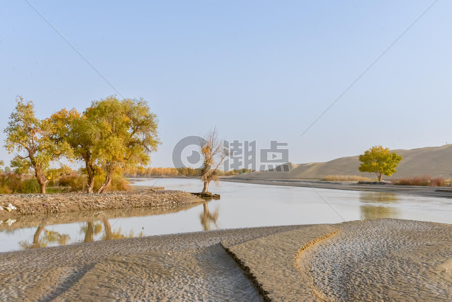 新疆塔里木河风光图片素材免费下载