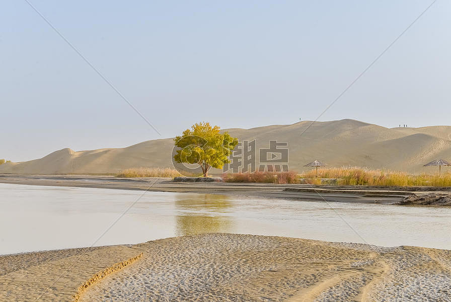 新疆塔里木河风光图片素材免费下载