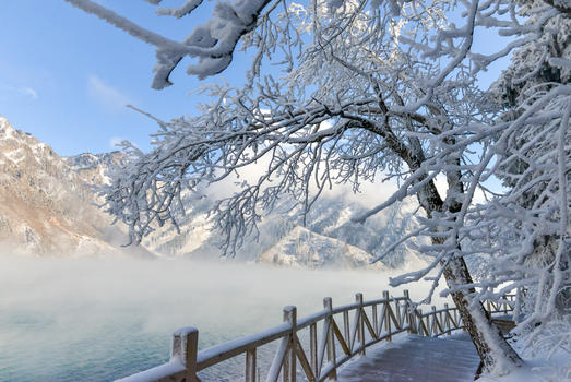 新疆天山雾凇图片素材免费下载