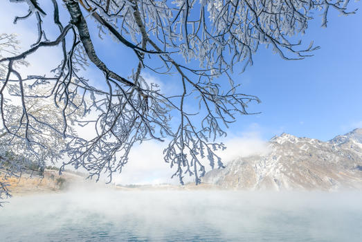新疆天山雾凇图片素材免费下载