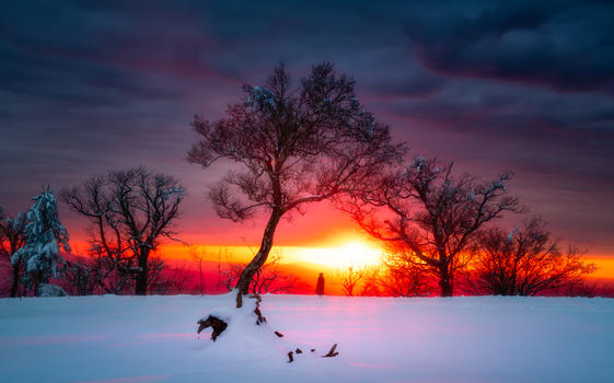 冬天雪景风光图片素材免费下载