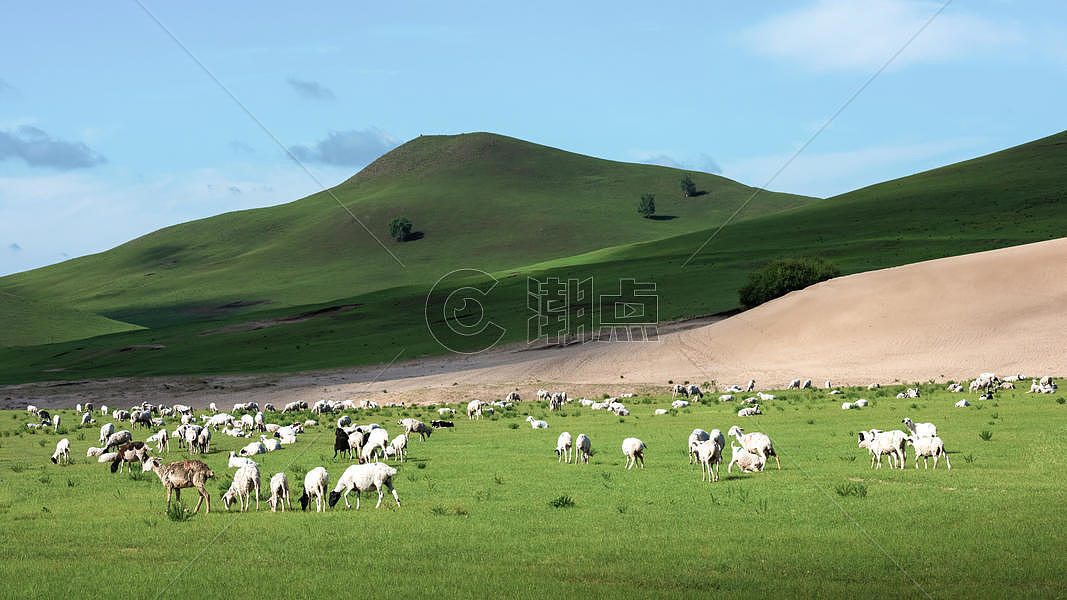 草原上的羊群图片素材免费下载