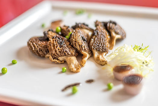 菌菇美食图片素材免费下载