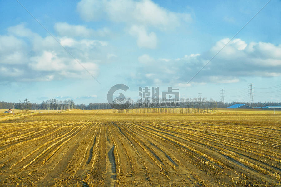 日本北海道十胜农场图片素材免费下载