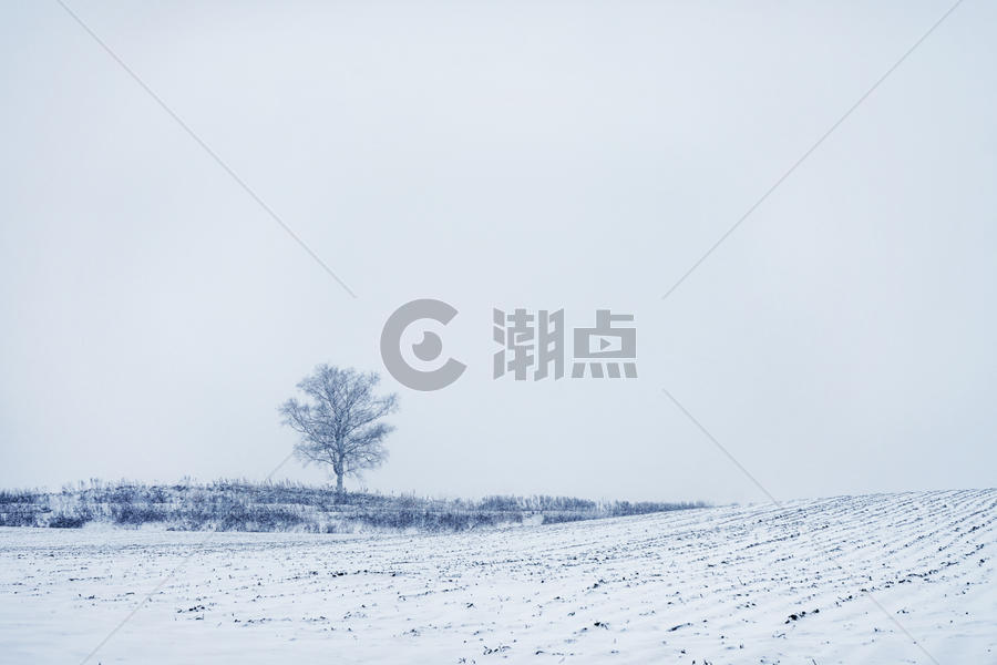 北海道冬天田野唯美风光图片素材免费下载