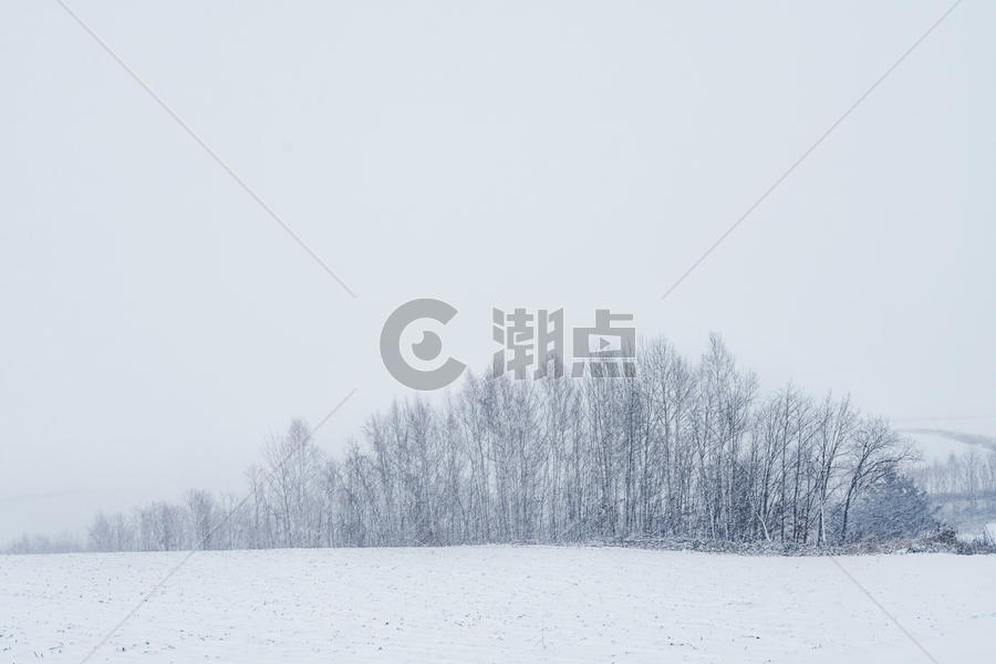 北海道冬天田野唯美风光图片素材免费下载