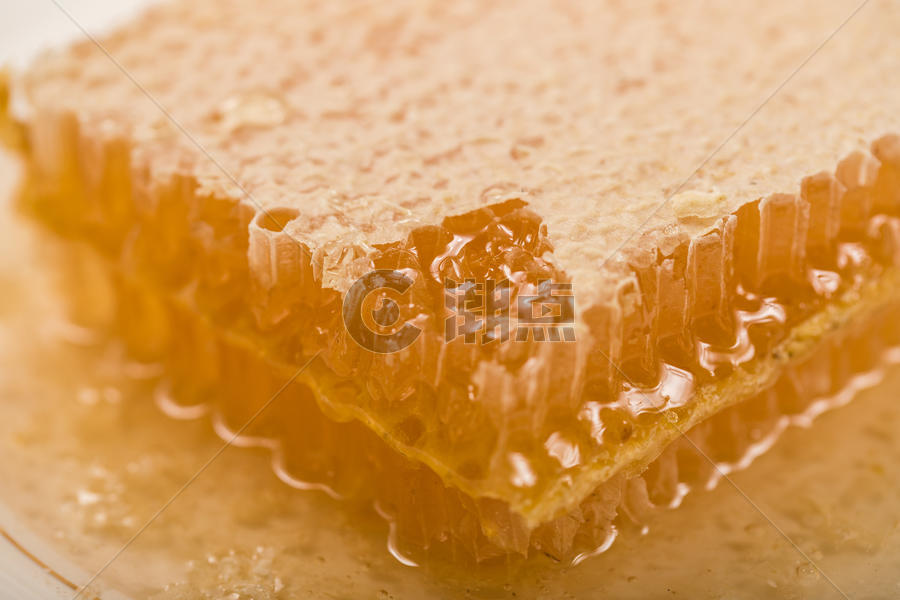美味的蜂巢蜜图片素材免费下载
