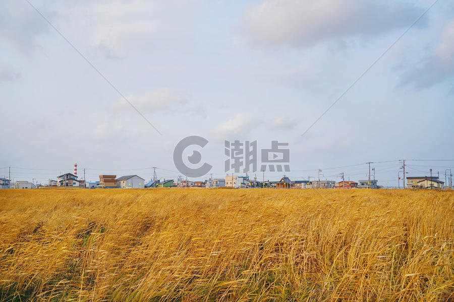 北海道的秋季田园风光图片素材免费下载
